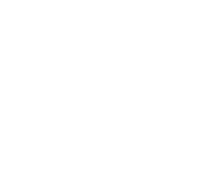 DomGlobal Enterprises