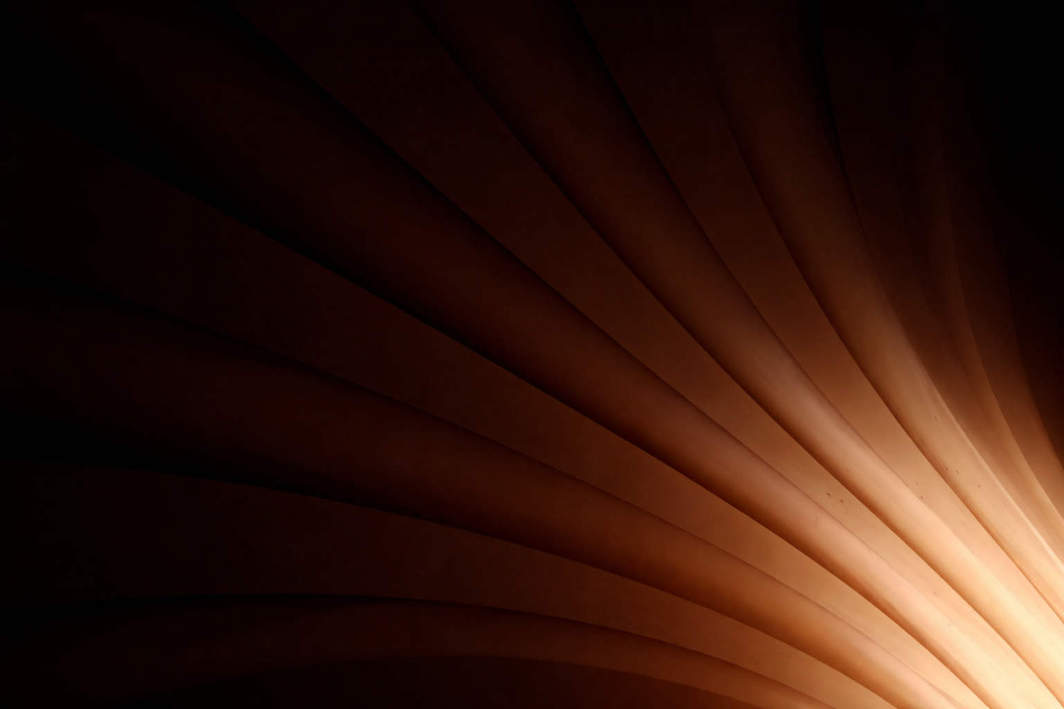 Desarrollo web WordPress para crecimiento escalable